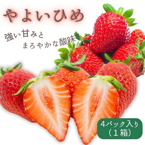 yӂ邳Ɣ[ŁzÂ݂Ƃ܂₩Ȏ_I@悢Ђ߁@4pbN1