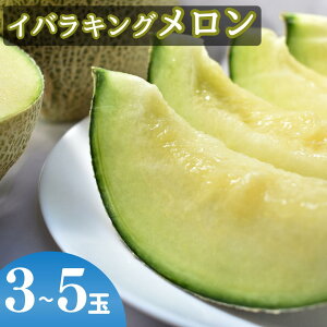 【ふるさと納税】JAほこた なだろう イバラキング (3玉〜5玉)
