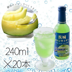 yӂ邳Ɣ[Łz{̃YnEgcsYu郁TC_[vs240ml×20{t