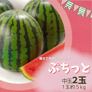 �y�ӂ邳�Ɣ[�Łz��܂Ŕ��������X�C�J�u�Ղ����Ɓv����2�ʁ^1�ʖ�5kg×2