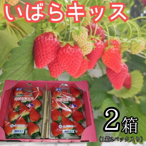 �y�ӂ邳�Ɣ[�Łz������ �C�`�S � ���΂�L�b�X 2���i1��2�p�b�N����×2�j �Z�b�g �t���[�c �G�ߌ��� ���΂�L�b�X ���n �Â� �W���[�V�[ 4�p�b�N �������� �M�t�g ��錧 �g�c�s ��؉���