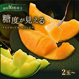【ふるさと納税】 生産量 日本一 糖度が見えるメロン！光センサーで計測 糖度 極 18度 輝 16度 以上！ クインシー アンデス エルソル 2玉 〜 5玉 茨城 鉾田 サングリーン旭 めろん フルーツ プレゼント 人気 おすすめ 贈り物 農業王国 赤肉 青肉 極 輝 特秀 赤 青