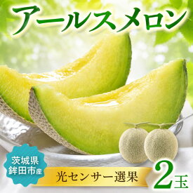 【ふるさと納税】 メロン めろん 茨城 2026年発送 2玉 果物 くだもの フルーツ 青肉 2個 アールスメロン meron melon 光センサー 国産 産地直送 農家直送 数量限定 期間限定 プレゼント ギフト 贈り物 秀 茨城県 鉾田市 サングリーン旭
