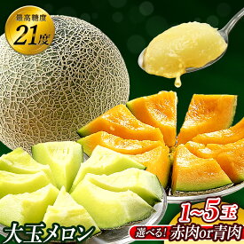 【ふるさと納税】 2026年 先行予約 メロン めろん 日本一 生産量 最高糖度 21度 赤肉メロン 青肉メロン クインシー キスグリーン 1〜5玉 10000円 以下 赤肉 青肉 人気 おすすめ 甘い 濃厚 高糖度 自家栽培 贈答用 プレゼント 送料無料 贈答用メロン 茨城県産 フルーツ 高級