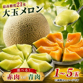 【ふるさと納税】 メロン めろん 茨城 2027年発送 先行予約 果物 くだもの フルーツ 1～5玉 1.2kg～3.5kg 赤肉 青肉 1玉 2玉 3玉～5玉 クインシーメロン キスグリーンメロン 大玉 産地直送 高糖度 meron melon プレゼント ギフト 茨城県 鉾田市 片岡農園 クレストファーム