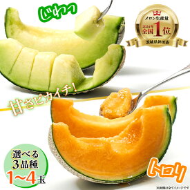 【ふるさと納税】 ＼生産量日本一／ メロン 《選べる3品種》 2025年発送 アールスメロン 来年2026年発送 アンデスメロン 来年2026年発送 クインシーメロン メロンの村田 選べる玉数 先行予約 青肉 赤肉 産地直送 めろん おすすめ 人気 定番 プレゼント 贈答 フルーツ 果物