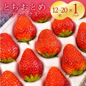 yӂ邳Ɣ[Łzy2`4z@ƂƂDX@1i12`20j