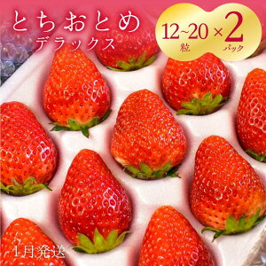 yӂ邳Ɣ[Łzy1z@ƂƂDX@2i12`20×2j