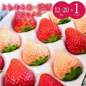 yӂ邳Ɣ[Łzy1`4z@giƂƂ߁EWjDX@1i12`20j