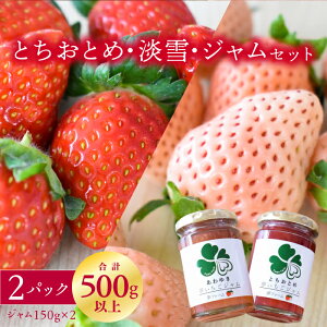 yӂ邳Ɣ[Łzy1`4zgƃW̃Zbg