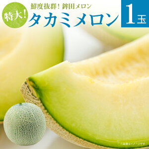 yӂ邳Ɣ[Łz Yʓ{ ߂  ^J~ Γ 1 3kg lC    Ԃ s\ XC[c   錧 Ҍ  t[c gcs fU[g 