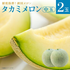 yӂ邳Ɣ[Łz Yʓ{ ߂  ^J~ Γ 2 3kg`5kg Mtg gc ʕ lC    Ԃ s\ XC[c   錧 Ҍ  gc