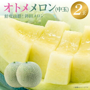 yӂ邳Ɣ[Łz Yʓ{ ߂  Ig Γ 2 3`5kg lC    Ԃ s\ XC[c   錧 Ҍ  t[c ߂ gcs 