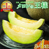 【ふるさと納税】 メロン 生産量日本一 めろん イバラキング 青肉 2玉 ...