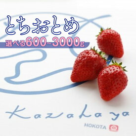 【ふるさと納税】いちご 苺 イチゴ とちおとめ 選べる 発送月 発送回数 個数 いちご「とちおとめ」風早いちご園 有名ホテル使用 厳選 フルーツ 果物 季節限定 甘い 濃厚 ジューシー 新鮮 1箱 2箱 3箱 送料無料 ギフト 贈答 茨城県 鉾田市 野菜王国 予約受付
