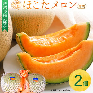 yӂ邳Ɣ[Łz ߂ nn ق ԓ 1i2jMtg gc ʕ lC    Ԃ s\ XC[c   錧 Ҍ t[c ߂ 