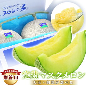 【ふるさと納税】 贈答 高級 メロン ＼大玉／ アールスメロン 1個 2個 約1.5kg〜4kg 定期便 ｜選べる発送回数 高級 めろん マスクメロン 甜瓜 おすすめ 人気 国産 青肉 産地直送 茨城 鉾田 フルーツ 旬 プレゼント 贈り物 おいしい 旬 定番 果物 メロンの森 フォレストパーク