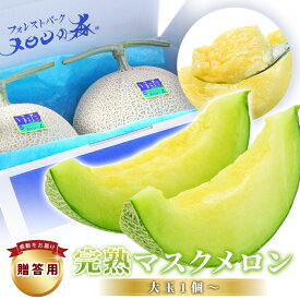 【ふるさと納税】 贈答 高級 メロン ＼大玉／ アールスメロン 1個 2個 約1.5kg〜4kg 定期便 ｜選べる発送回数 高級 めろん マスクメロン 甜瓜 おすすめ 人気 国産 青肉 産地直送 茨城 鉾田 フルーツ 旬 プレゼント 贈り物 おいしい 旬 定番 果物 メロンの森 フォレストパーク