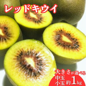 【ふるさと納税】レッドキウイ(中・小玉) 約1kg 12〜15個前後