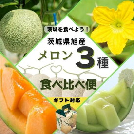 【ふるさと納税】 メロン 3種 食べ比べ 旭メロン【 3回 お届け便 】（ アンデス ・ クインシー ・ アールス ）