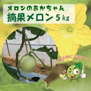 yӂ邳Ɣ[ŁzyHpzqiEʃj5kg