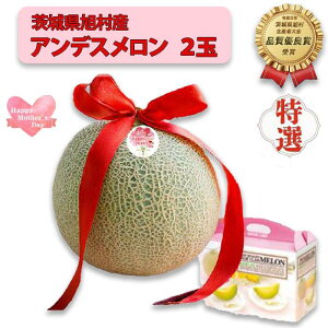 yӂ邳Ɣ[Łzy̓pbsOtzyGzAfX 2ʁi2.5kgj鈮Gh