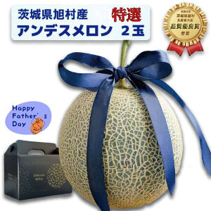 yӂ邳Ɣ[Łzy̓pbsOtzyGzAfX 2ʁi2.5kgj鈮Gh