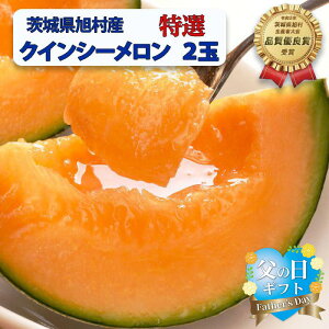 yӂ邳Ɣ[Łzy̓pbsOtzyGzNCV[ 2ʁi2.5kgj鈮Gh