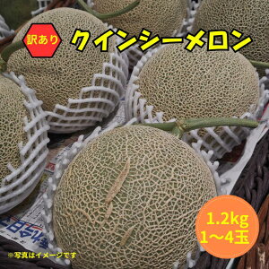 yӂ邳Ɣ[Łz y󂠂zNCV[ 1ʁi1.2kgj@1`4