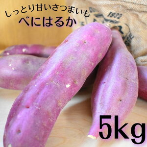 yӂ邳Ɣ[ŁzƂÂ܂Iuʍ͔|_Yvׂɂ͂邩@5kg