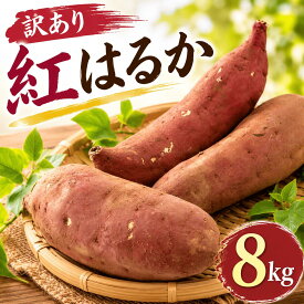 【ふるさと納税】 【2026年7月発送】 訳あり さつまいも 紅はるか 約8kg サツマイモ さつま芋 甘藷 熟成芋 いも 芋 イモ 焼き芋 やきいも 不揃い 規格外 野菜 おやつ 旬 農家直送 茨城 鉾田 ほこた 株式会社井川農園