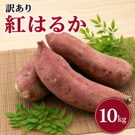 【ふるさと納税】 【2026年7月発送】 訳あり さつまいも 紅はるか 約10kg サツマイモ さつま芋 甘藷 熟成芋 いも 芋 イモ 焼き芋 やきいも 不揃い 規格外 野菜 おやつ 旬 農家直送 茨城 鉾田 ほこた 株式会社井川農園
