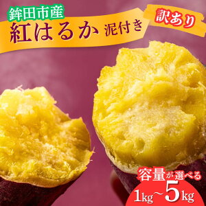 【ふるさと納税】 さつまいも 紅はるか 訳あり (A品不揃い) 1kg 〜 5kg 泥付き