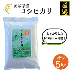 yӂ邳Ɣ[Łz錧YyIzRVqJ5kgiāj