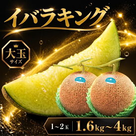 【ふるさと納税】メロン 生産量日本一 めろん ＼メロンといえば鉾田市！／ アンテナ付き 大玉メロン 1.6kg〜4kg（1玉~2玉）｜ 人気 おすすめ イバラキング メロン 青肉 めろん 果物 茨城 鉾田 国産 高級 フルーツ プレゼント 贈り物 贈答