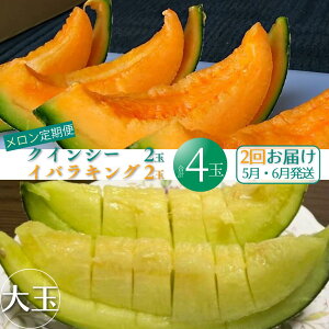 yӂ邳Ɣ[ŁzRt@[ w 2  x5NCV[2ʁE6CoLO2  gc t[c { v[g 蕨 Â wV[XC[c Yn _Ɖ ԓ 