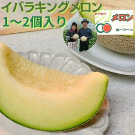【ふるさと納税】メロン めろん イバラキングメロン 山一ファーム おすすめ 人気 国産 山一ファーム 茨城 鉾田 生産量日本一 フルーツ 旬 プレゼント 贈り物 甘い ヘルシースイーツ 産地直送 農業王国 青肉 緑肉 送料無料