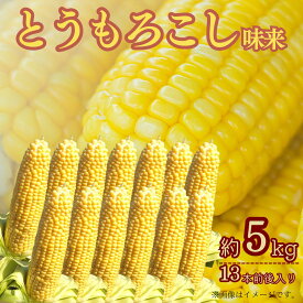 【ふるさと納税】ひろ子のとうもろこし（味来）　約5kg／約13本前後入り