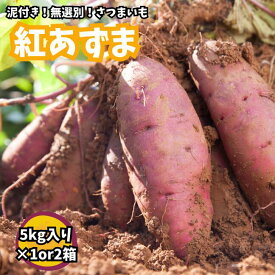 【ふるさと納税】【さつまいも】紅あずま（泥付き無選別）5or10kg（5kg×1or2箱）