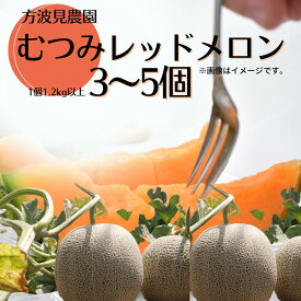 【ふるさと納税】 メロン めろん 赤肉 2～5個 むつみレッドメロン 1.2kg以上 おすすめ 人気 国産 赤 茨城 鉾田 フルーツ 旬 大きい プレゼント 贈り物 甘い 産地直送 5月～6月発送