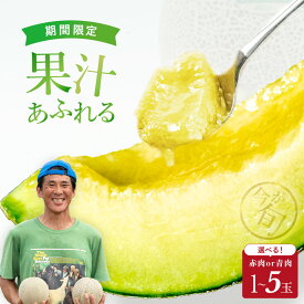 【ふるさと納税】来年 2026年 先行予約！ メロン めろん ＼ 生産量日本一 ／ イバラキング 青肉 1玉 〜 5玉 1.2kg 〜 4.5kg 甘い フルーツ 果物 旬 大玉 絶品 産地直送 高級 おすすめ 人気 国産 ジューシー ギフト プレゼント 期間限定 安心安全 茨城県 鉾田市 方波見農園