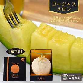 【ふるさと納税】【贈答用】ゴージャスメロン（アールスメロン）6Lサイズ／1玉　約2.5kg
