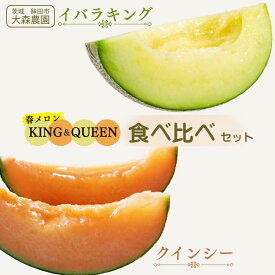 【ふるさと納税】 KING&QUEEN 春メロン 食べ比べセット イバラキング クインシー 5Lサイズ 青肉メロン 赤肉メロン 食べ比べ 食べくらべ メロン めろん 大森農園 先行予約 フルーツ先行予約 メロン先行予約