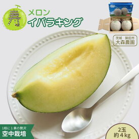 【ふるさと納税】メロン めろん 寿メロン 「空中栽培」で栽培した贅沢な イバラキングメロン アンテナ付き 選べる玉数 1玉 2玉 1玉2.5kg 2玉合計約4kg メロン 大森農園 先行予約 フルーツ先行予約 メロン先行予約