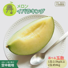 【ふるさと納税】メロン めろん 寿メロン 「空中栽培」で栽培した贅沢な イバラキングメロン アンテナ付き 選べる玉数 1玉 2玉 1玉2.5kg 2玉合計約4kg メロン 大森農園 先行予約 フルーツ先行予約 メロン先行予約