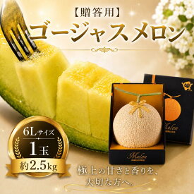 【ふるさと納税】 メロン めろん 茨城 2026年発送 1玉 約2.5kg 果物 くだもの フルーツ 果実 贈答用 青肉 6Lサイズ 1個 国産 アールスメロンあーるすめろん meron melon 旬 デザート 産地直送 数量限定 プレゼント ギフト 贈り物 茨城県 鉾田市 大森農園