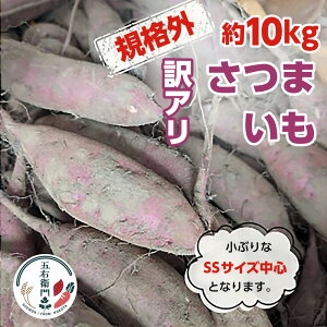 yӂ邳Ɣ[Łz܉Eq 󂠂Tc}C 10kg iTCY i 傫 Sčځj܂ Ï gc  󂠂 킯 PA KiO