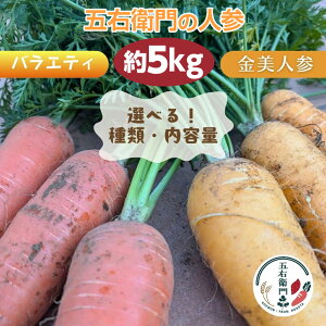 yӂ邳Ɣ[Łz܉Eq ytlQ Iׂi / e jW oGeB 5kg SS`LLTCY 20{O@35{O ɂ񂶂 jW Lbg yt gc 