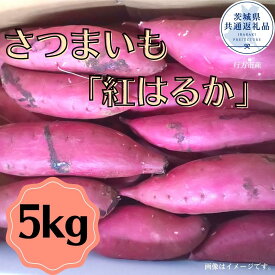 【ふるさと納税】さつまいも「紅はるか」5kg（茨城県共通返礼品・行方市産）