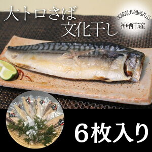 yӂ邳Ɣ[ŁzgΕ@6i錧ʕԗiE_sYj